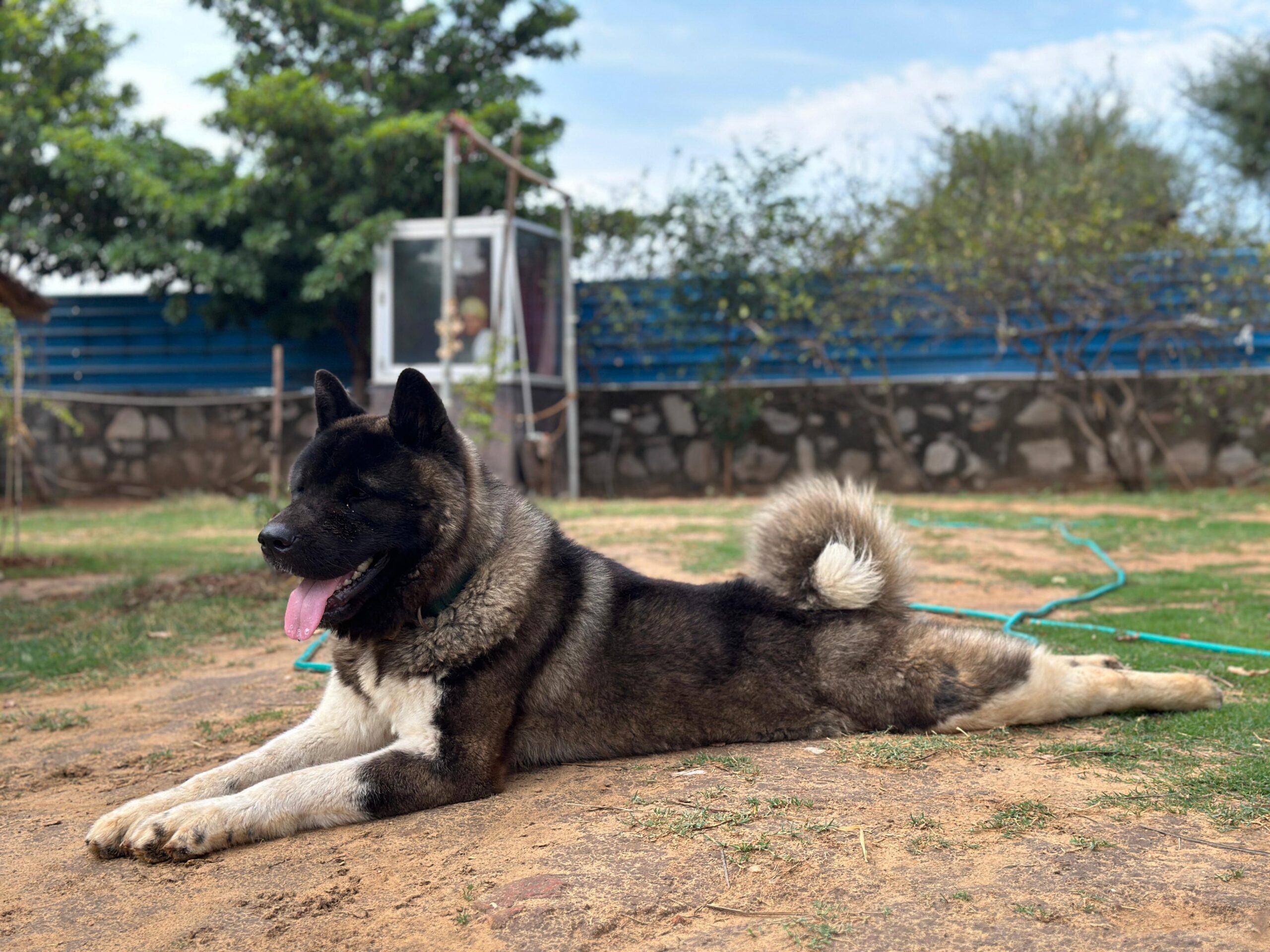 Coco